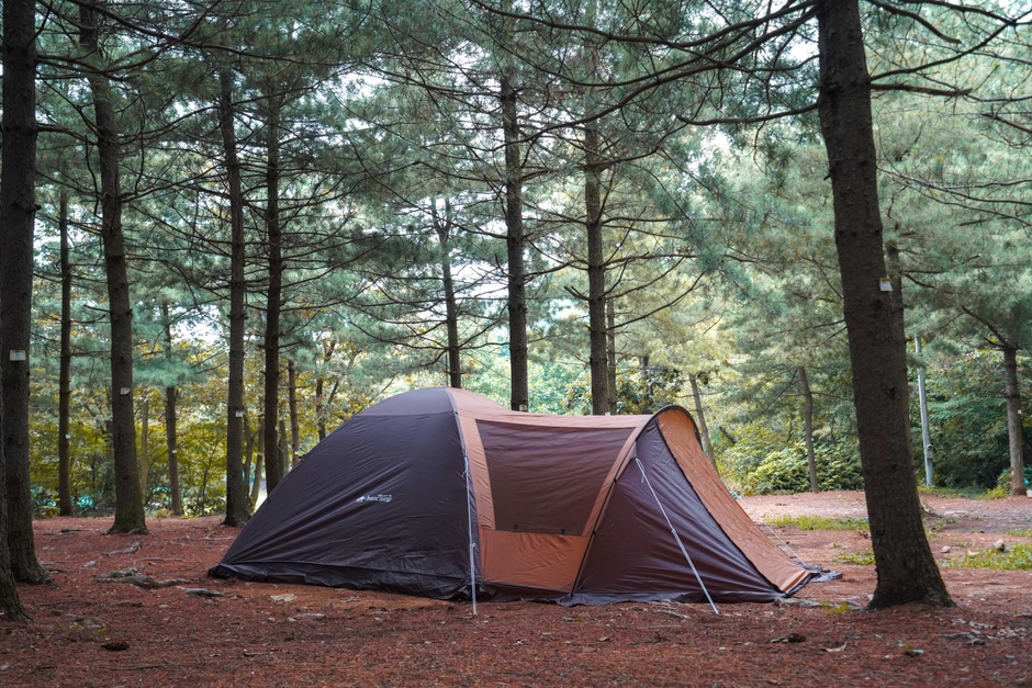 フライを被せれば、全長5m越えの広々空間が完成!