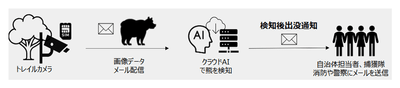 図