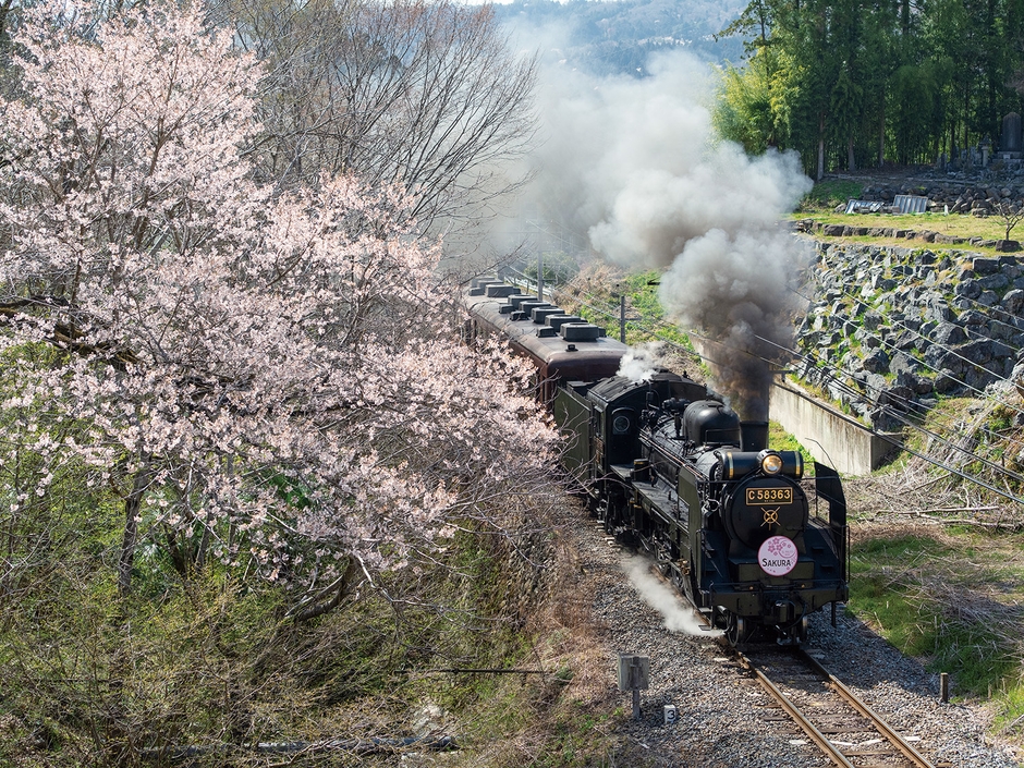 SLパレオエクスプレス　イメージ