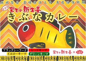 【新型コロナに負けるな！】宇都宮の無病息災のシンボル「きぶな」をモチーフにした『きぶなカレー』新登場。