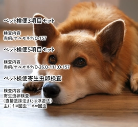 自宅で簡単にペットの健康チェック「ペット検便」開始　 人とペットの共生時代に、感染症リスク対策をサポート
