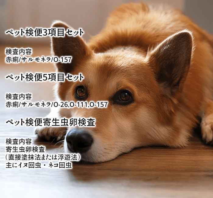 検査内容一覧