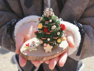 クリスマスツリー講座