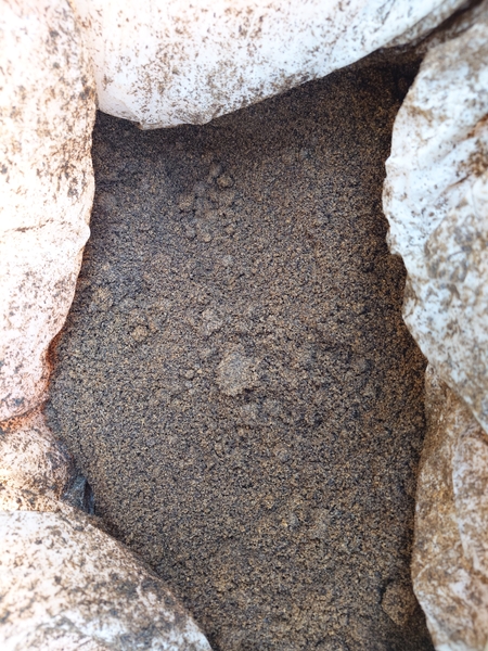 発酵がすすみ表明が白く変化し始めます