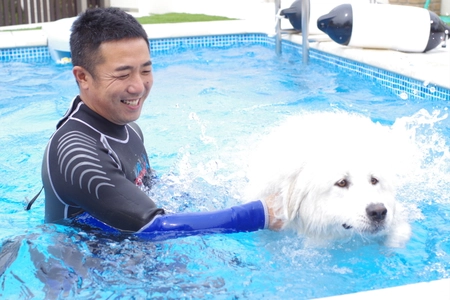 愛犬と一緒にプールで運動不足解消 「ワンコと泳ごう」6月10日・11日開催＠岐阜県