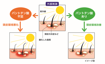 イメージ図