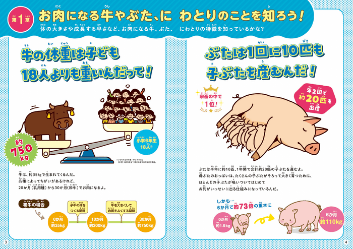 アンケートの調査結果をもとに、子どもが本当に知りたいお肉の情報をわかりやすく紹介(こちらのページは調査結果(3)をもとに作成)