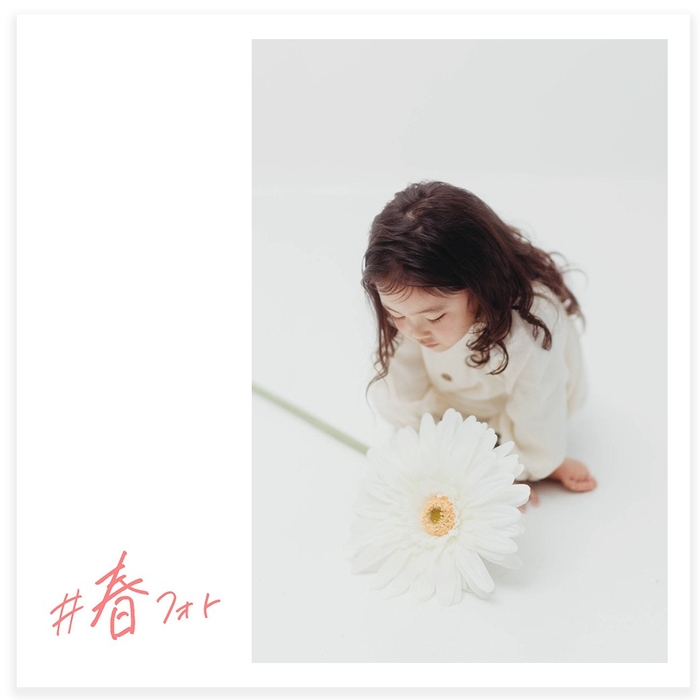 写真：ライフスタジオ