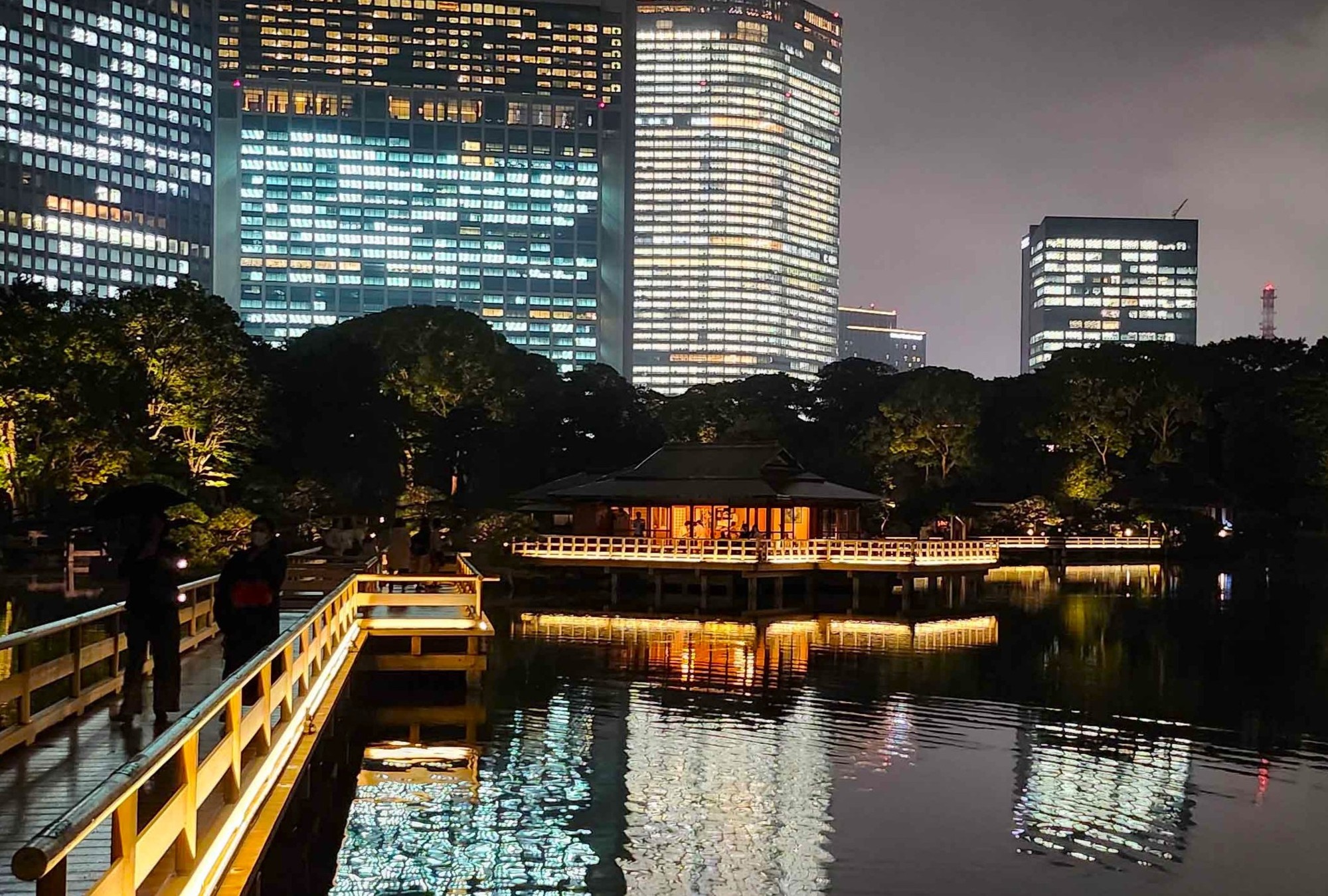 過去のライトアップの様子