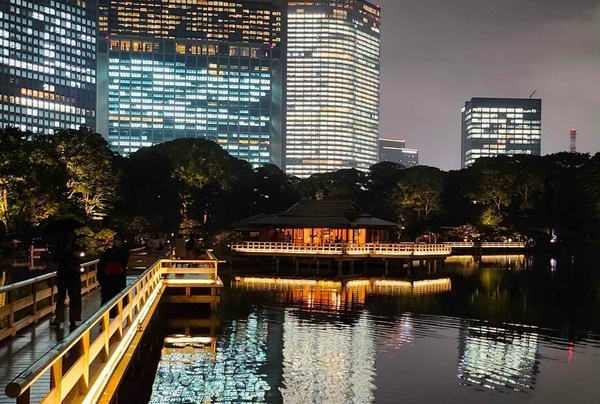 過去のライトアップの様子