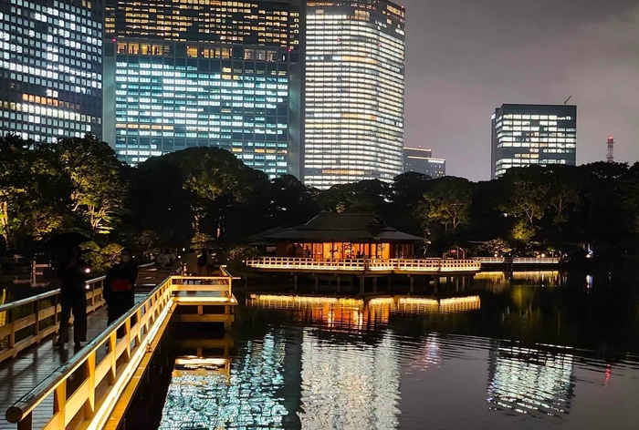 過去のライトアップの様子