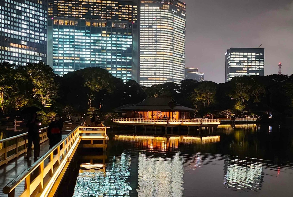 過去のライトアップの様子