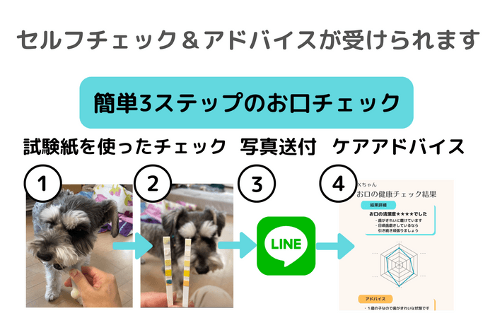 使い方