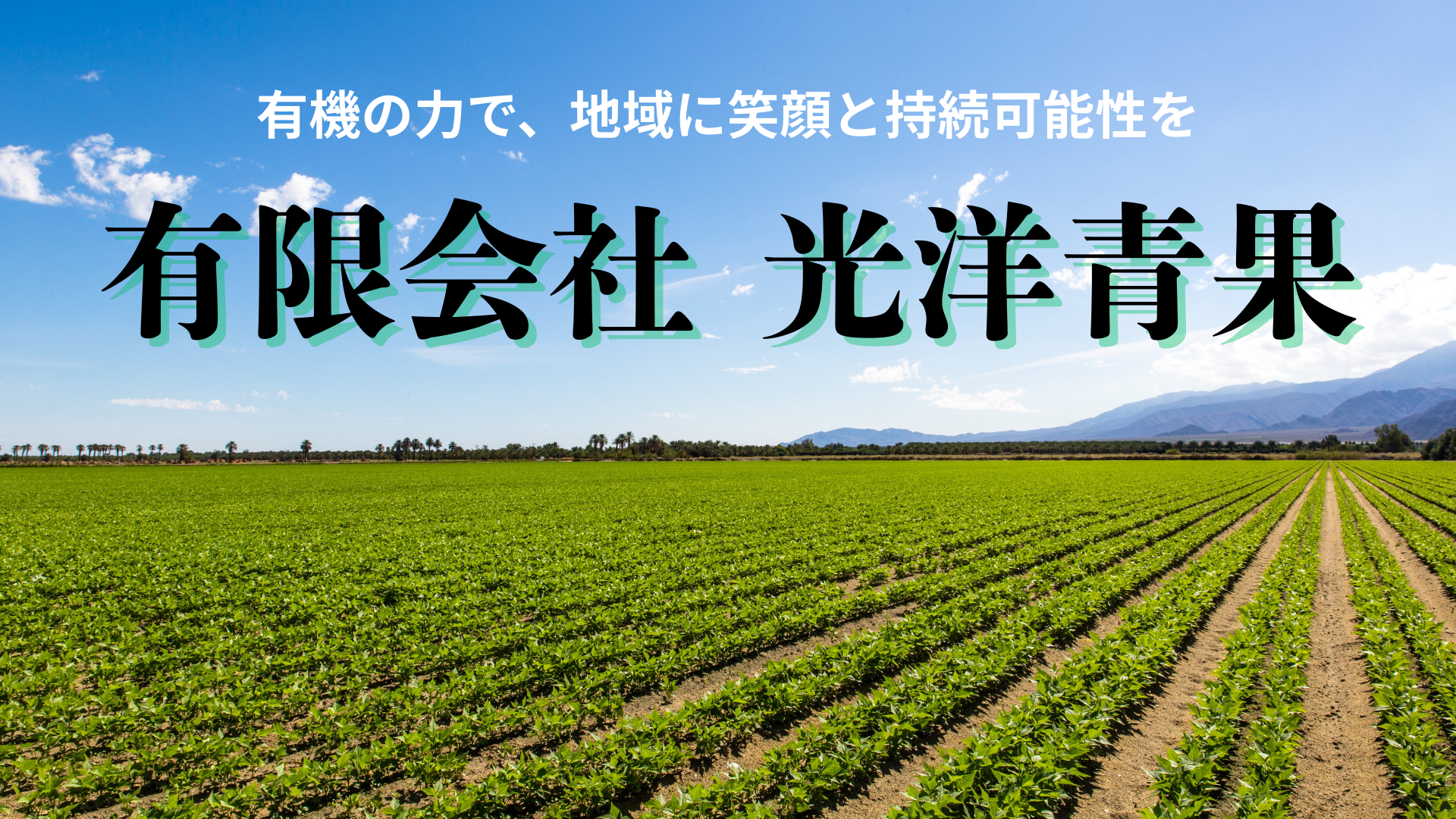 有限会社光洋青果