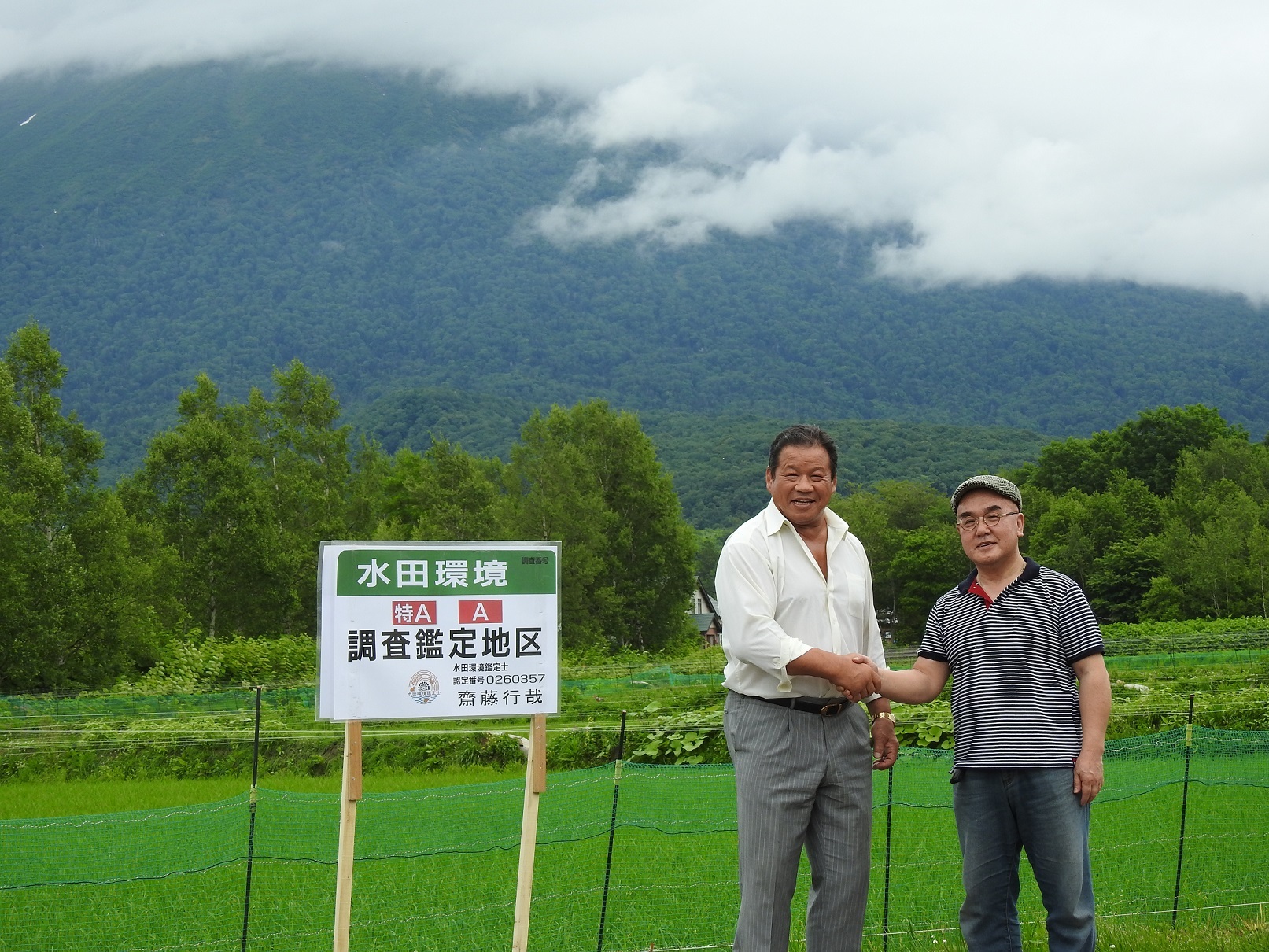 ニセコ水田圃場風景