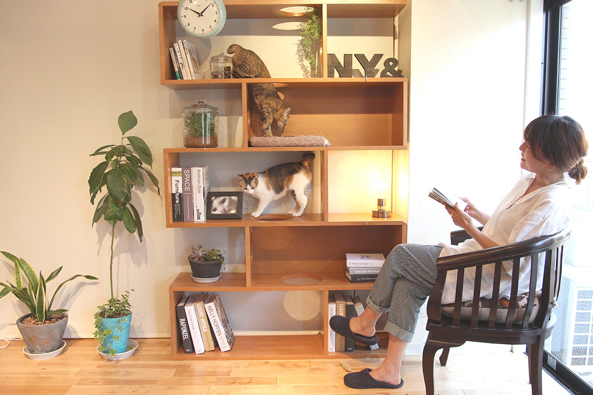 前作 NY& SHELFシリーズ NY& CAVE SHELF