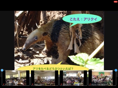 リモートトリップ画像