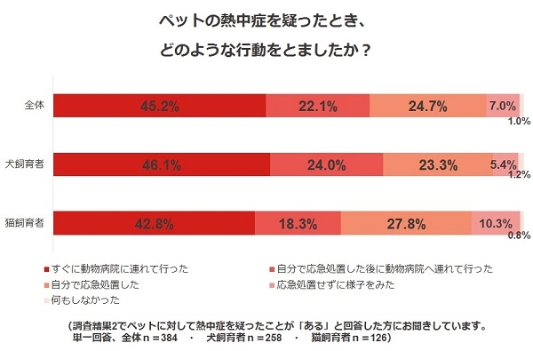 調査結果6.ペットの熱中症を疑ったとき、どのような行動をとりましたか?