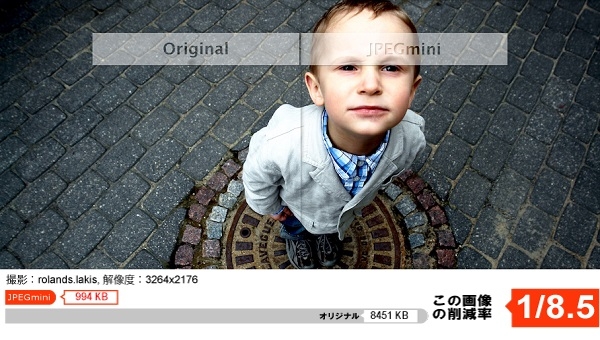 圧縮画像の例2(1/8に削減、撮影:rolands.lakis)