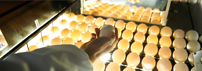 人の目とセンサーで品質をダブルチェック