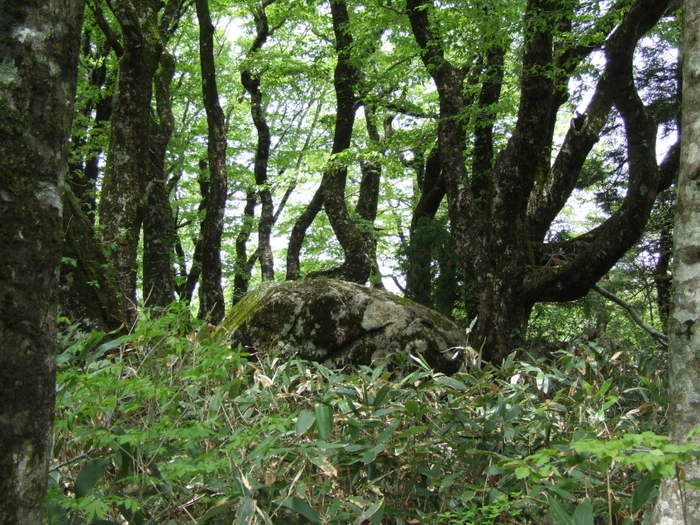 比婆山御陵