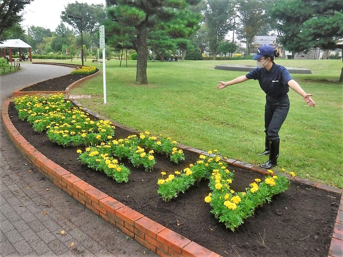 花壇に文字が現れた・・・⁉