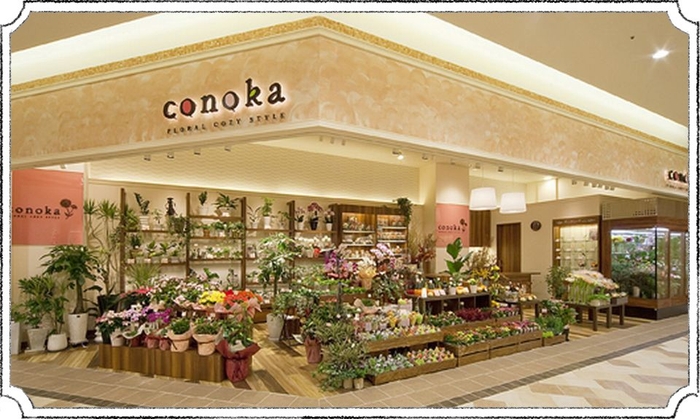 コノカあまがさきキューズモール店