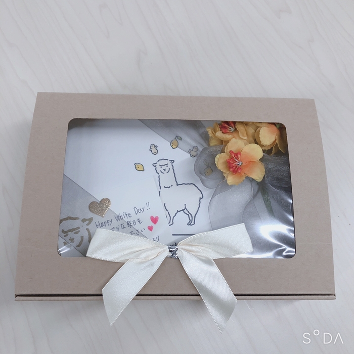 ヒートスムージー特別ラッピング3