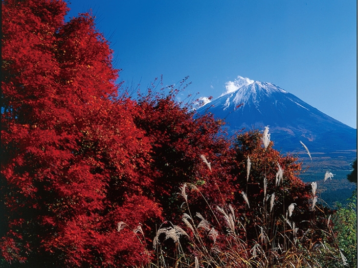 ゆらり周辺の紅葉スポット「紅葉台」