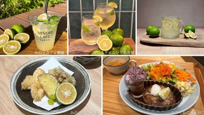 かぼすスカッシュ 700円 (みのりカフェ銀座店)・かぼすスカッシュ/サワー/ハイボール 各715円 (みのるダイニング名古屋店)・かぼすスカッシュ 550円 (みのるダイニング岡山店)・秋野菜と国産鶏の天ぷら定食 ~大分県産かぼす添え~ 1,639円 (みのりカフェ博多店)・自家製ハンバーグプレート(和風オニオン) ~大分県産かぼす添え~ 1,639円 (みのりみのる大分店)