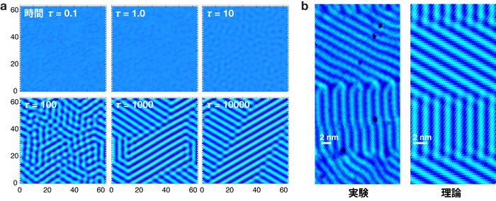 図1 (a) ビスマス単原子膜で時間と共にチューリング・パターンが形成される様子。(b) 実験と理論の比較。