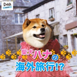 フォロワー10万人超！SNSで大人気の 柴犬ハナとDeNAトラベルがコラボ！！ 話題沸騰となったイヤイヤ顔やコスプレ姿など ここでしか見られないハナの 愛くるしい姿がたっぷり楽しめる動画を公開！ 