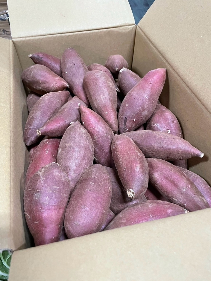 実際の規格外野菜(さつまいも)