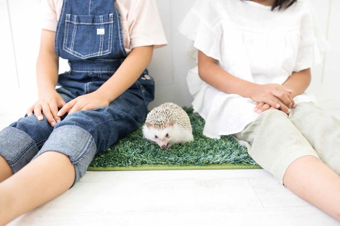 「ボクの針は痛くない」画像7