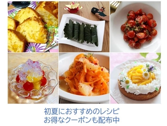 マイキッチン人気講師の初夏おすすめレシピ6品を掲載
