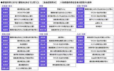 都道府県別カーライフ“あるある”