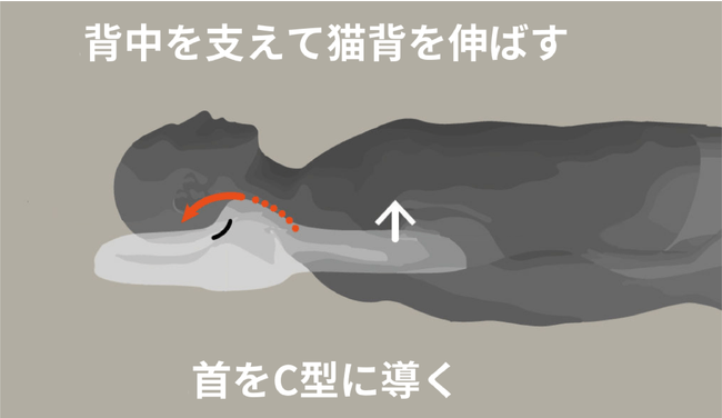 ゴッチョ背まくら 4