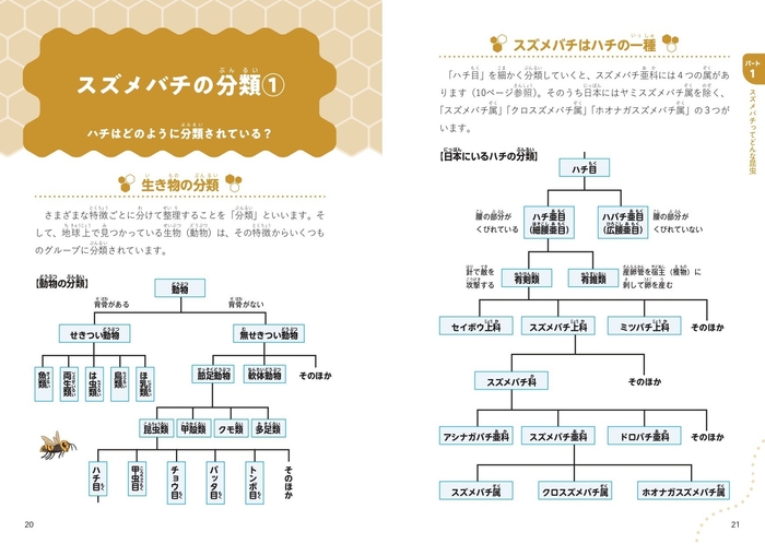 ■Part1　スズメバチってどんな昆虫　スズメバチの分類①