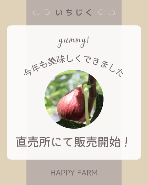 直売所にて販売開始！