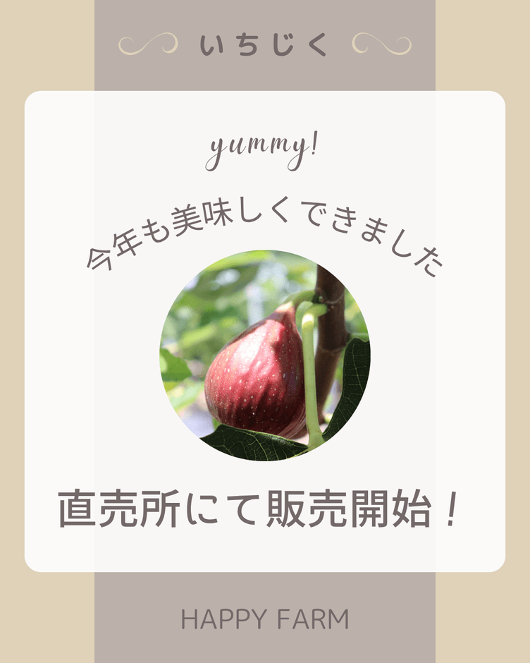 直売所にて販売開始！