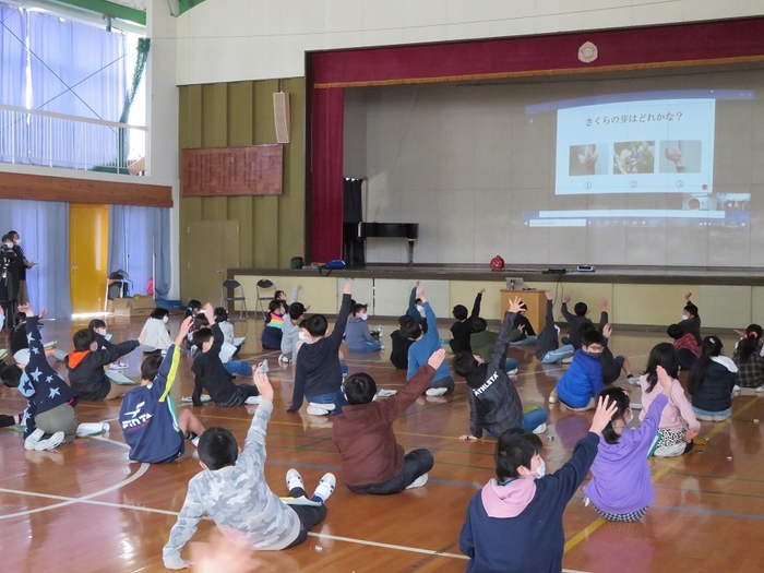 市内小学生を対象にした「さくら教室」