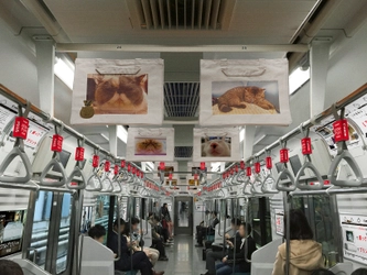 “日本一のブサかわ猫を選ぶ”写真コンテストエントリー作品は5,996点「ブサかわ猫ちゃんグランプリbyスマフォトプリント!PIXUS」大賞決定！史上初！全国から応募された「ブサかわ猫ちゃん」総勢288作品がPIXUSで実際にプリントされJR山手線11両編成を丸ごとジャック！！（11月18日より）