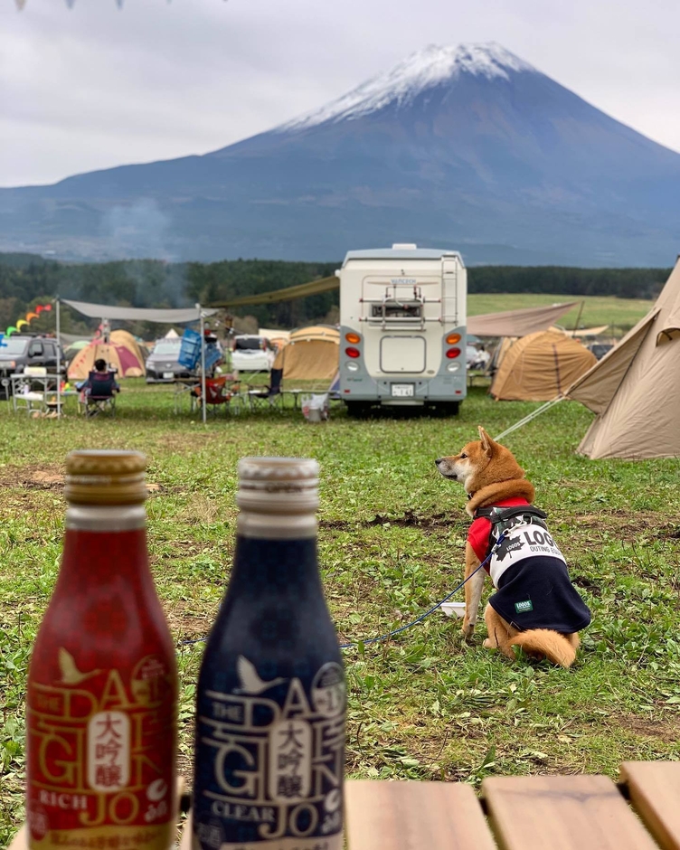 LOGOSチェアリング賞(mi.taro.hana様)