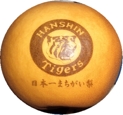 「阪神タイガース日本一まちがい梨」出荷開始