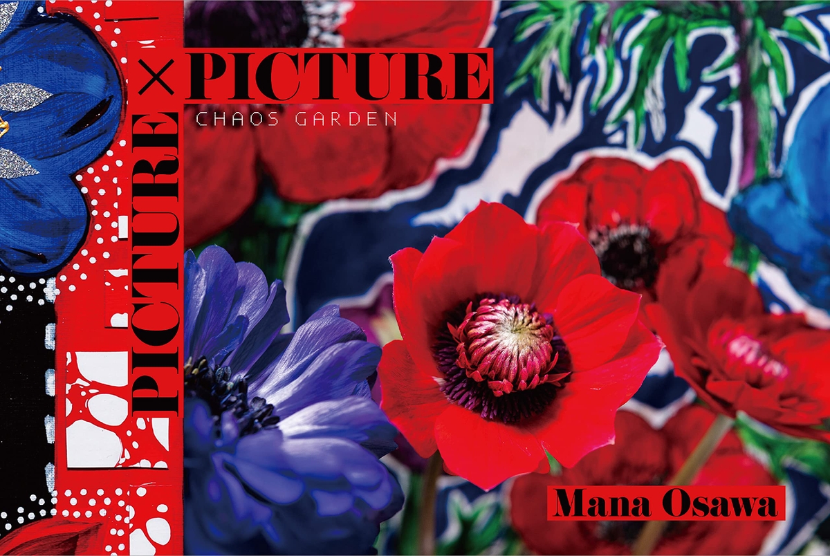 写真集「PICTURES×PICTURES」プレスリリース