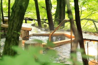 温泉山荘だいこんの花「通り雨」