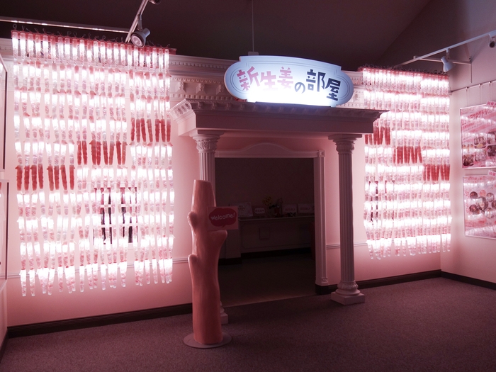 岩下の新生姜ナイアガラ~岩下の新生姜ペンライト460本使用~