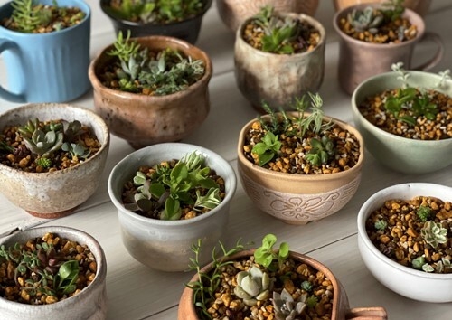 ワークショップ