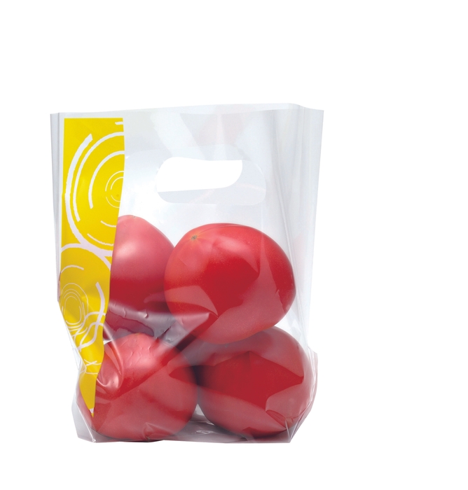 サンバッグLILLY イエロー トマト