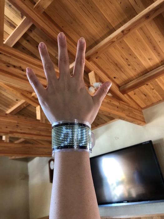 anode タイガース仕様 使用イメージ5